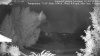 Web Cam1 Image - Sat, 07/18/2026 11:37am MDT